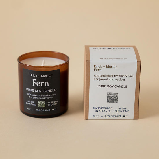 Fern