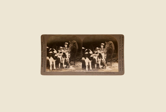 Stereoscope Card- One Boy Who Wouldn&