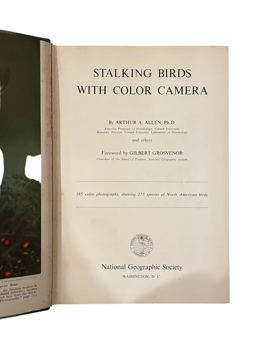 Stalking Birds with Color Camera by Arthur A. Allen