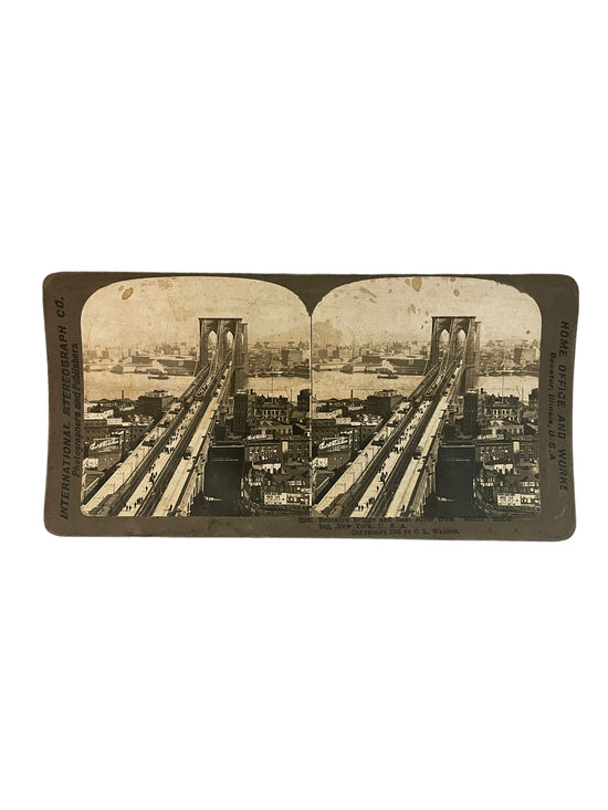 Stereoscope Card- Brooklyn Bridge and East River from "World" Building, New York, USA