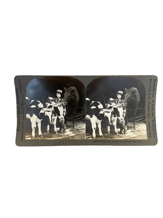 Stereoscope Card- One Boy Who Wouldn&