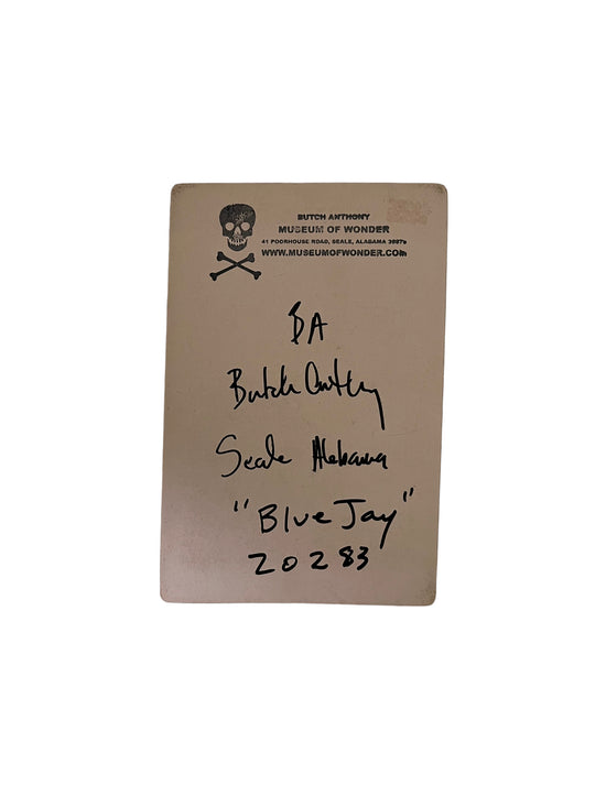 Butch Anthony Cabinet Card (Blue Jay)