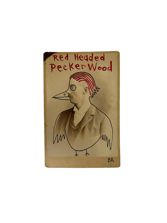 Butch Anthony Cabinet Card (Red Headed Pecker Wood)